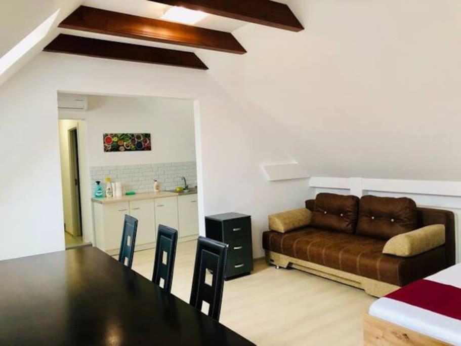 Joy City Stay Unirii 41 2 Timişoara Buitenkant foto